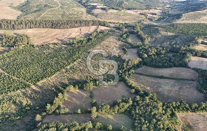 Çanakkale Yenice Ahiler Köyünde Satılık 8.944 M² Tarla !