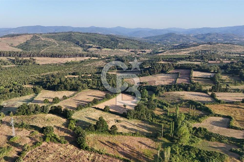 Çanakkale Yenice Ahiler Köyünde 10.827 M² Satılık Tarla !