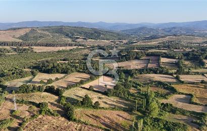 Çanakkale Yenice Ahiler Köyünde 10.827 M² Satılık Tarla !