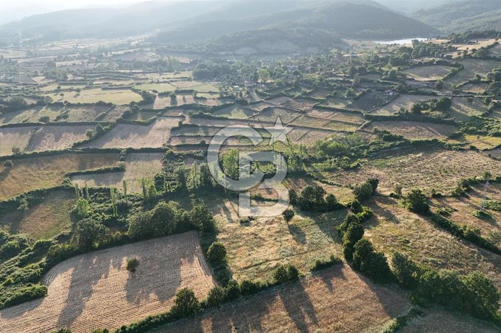 Çanakkale Yenice Ahiler Köyünde 10.827 M² Satılık Tarla !