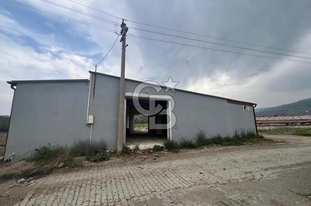 Guzelbahce Ticari Ruhsatli Depo 200m2