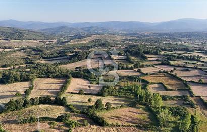 Çanakkale Yenice Ahiler Köyünde 10.827 M² Satılık Tarla !