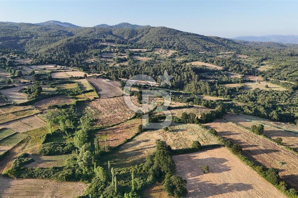 Çanakkale Yenice Ahiler Köyünde 10.827 M² Satılık Tarla !