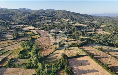 Çanakkale Yenice Ahiler Köyünde 10.827 M² Satılık Tarla !