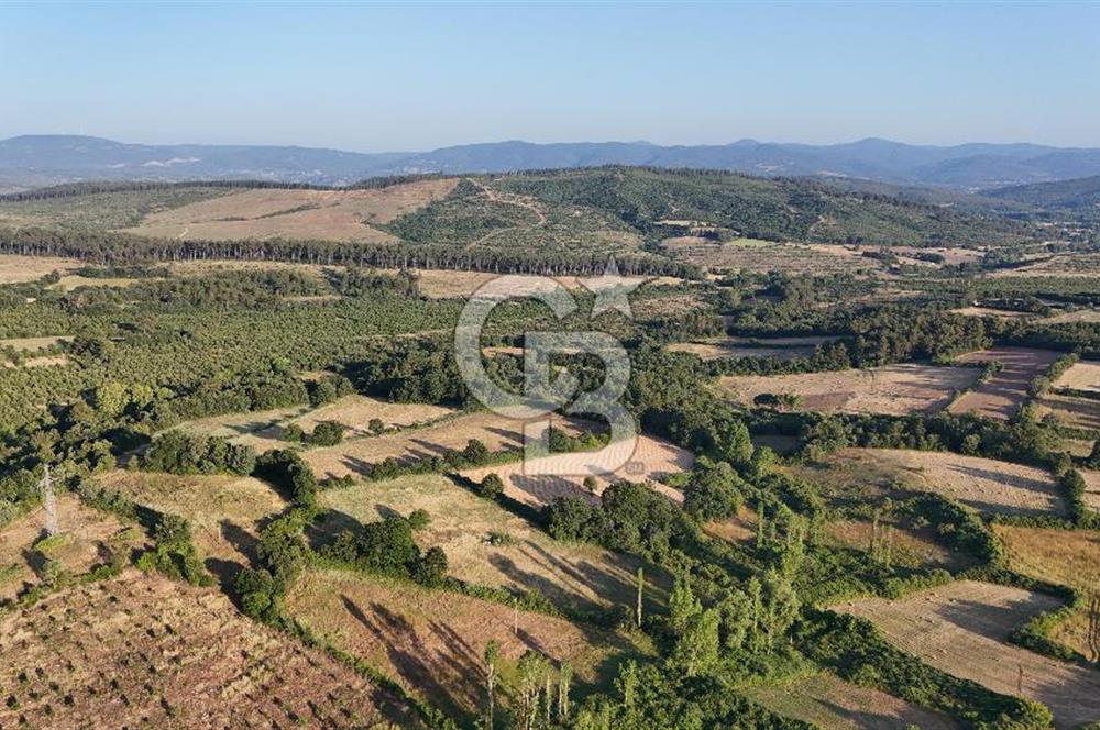 Çanakkale Yenice Ahiler Köyünde 10.827 M² Satılık Tarla !