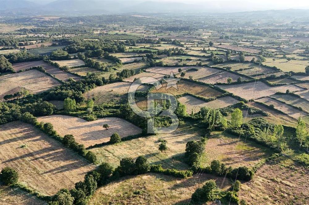 Çanakkale Yenice Ahiler Köyünde 10.827 M² Satılık Tarla !