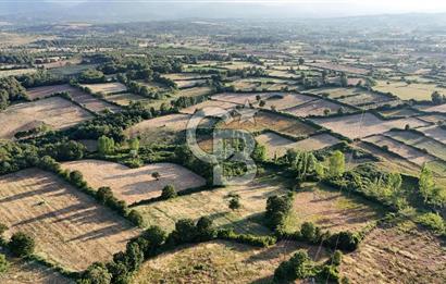 Çanakkale Yenice Ahiler Köyünde 10.827 M² Satılık Tarla !
