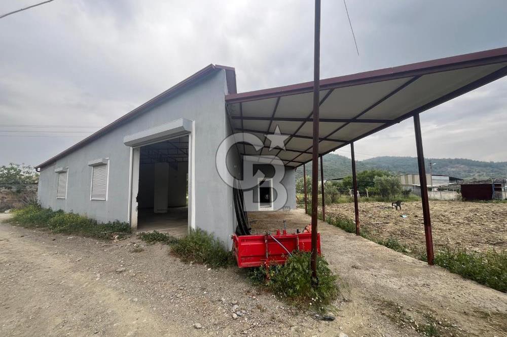 Guzelbahce Ticari Ruhsatli Depo 200m2