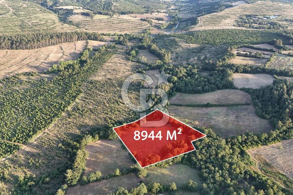 Çanakkale Yenice Ahiler Köyünde Satılık 8.944 M² Tarla !
