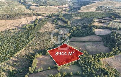 Çanakkale Yenice Ahiler Köyünde Satılık 8.944 M² Tarla !