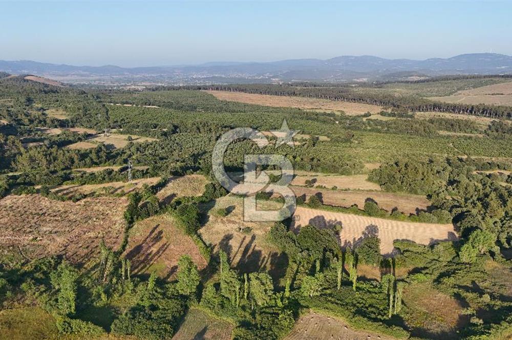 Çanakkale Yenice Ahiler Köyünde 10.827 M² Satılık Tarla !