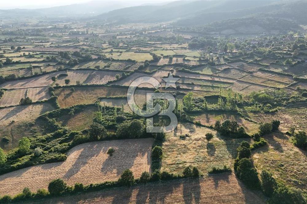 Çanakkale Yenice Ahiler Köyünde 10.827 M² Satılık Tarla !