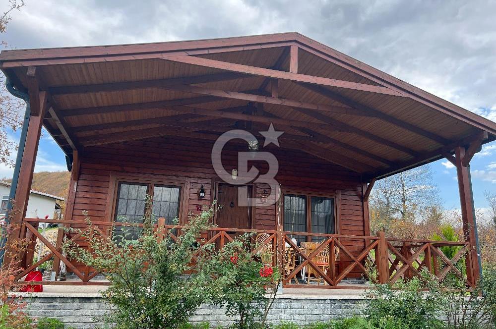 Şile Değirmençayırda Doğayla İç İçe 5680 m² Tarla İçinde Ahşap