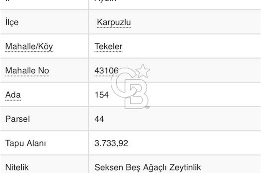AYDIN KARPUZLU TEKELER HAMAS MEVKİİNDE 3733 M2 ZEYTİNLİK