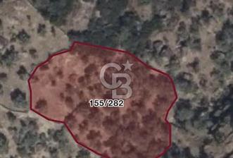 AYDIN KARPUZLU TEKELER KÜÇÜKKARADAM MEVKİİNDE 2056 M2 ZEYTİNLİK