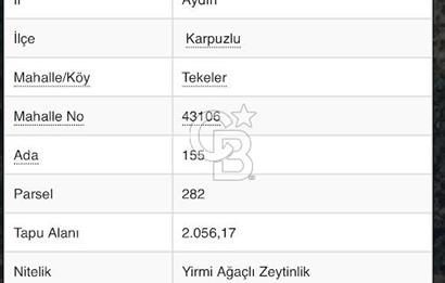 AYDIN KARPUZLU TEKELER KÜÇÜKKARADAM MEVKİİNDE 2056 M2 ZEYTİNLİK