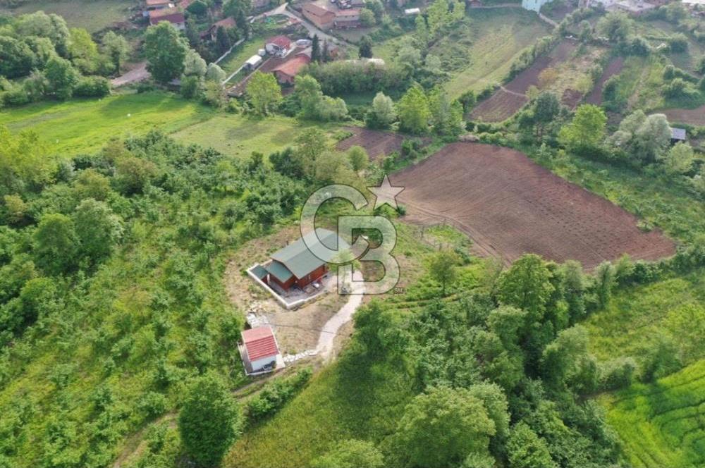 Şile Değirmençayırda Doğayla İç İçe 5680 m² Tarla İçinde Ahşap