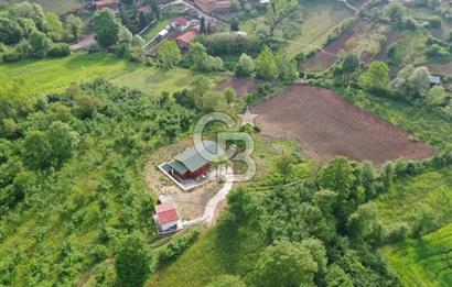 Şile Değirmençayırda Doğayla İç İçe 5680 m² Tarla İçinde Ahşap