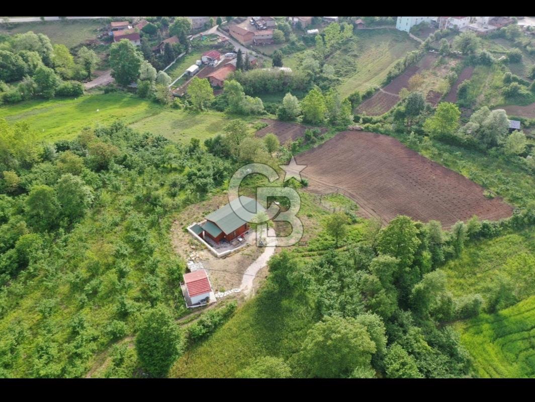 Şile Değirmençayırda Doğayla İç İçe 5680 m² Tarla İçinde Ahşap