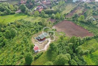 Şile Değirmençayırda Doğayla İç İçe 5680 m² Tarla İçinde Ahşap