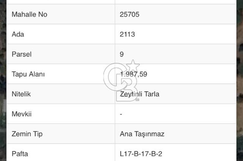 Yelki’de Tarla