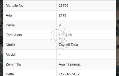 Yelki’de Tarla