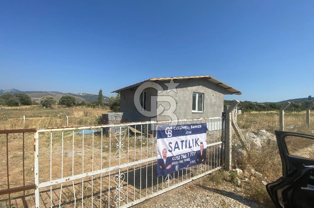Yelki’de Tarla