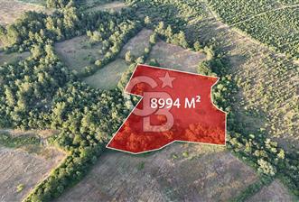 Çanakkale Yenice Ahiler Köyünde Satılık 8.944 M² Tarla !