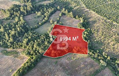 Çanakkale Yenice Ahiler Köyünde Satılık 8.944 M² Tarla !