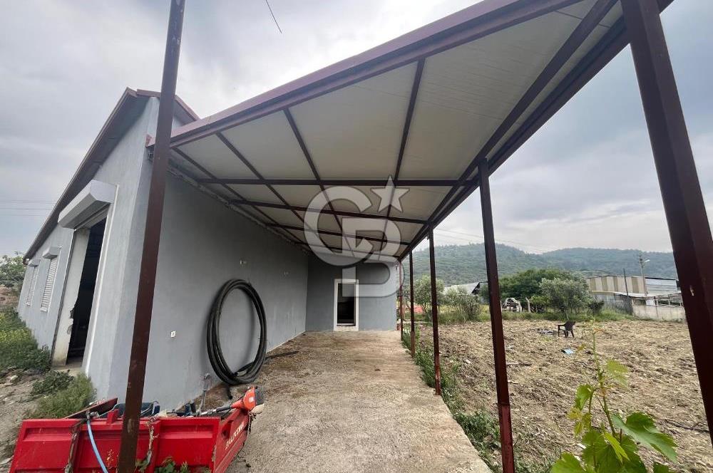 Guzelbahce Ticari Ruhsatli Depo 200m2