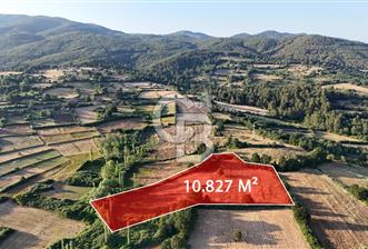 Çanakkale Yenice Ahiler Köyünde 10.827 M² Satılık Tarla !
