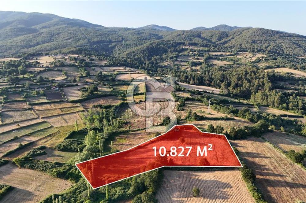 Çanakkale Yenice Ahiler Köyünde 10.827 M² Satılık Tarla !