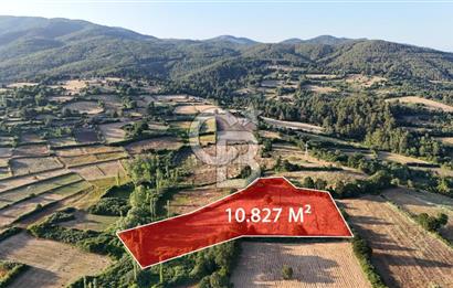 Çanakkale Yenice Ahiler Köyünde 10.827 M² Satılık Tarla !