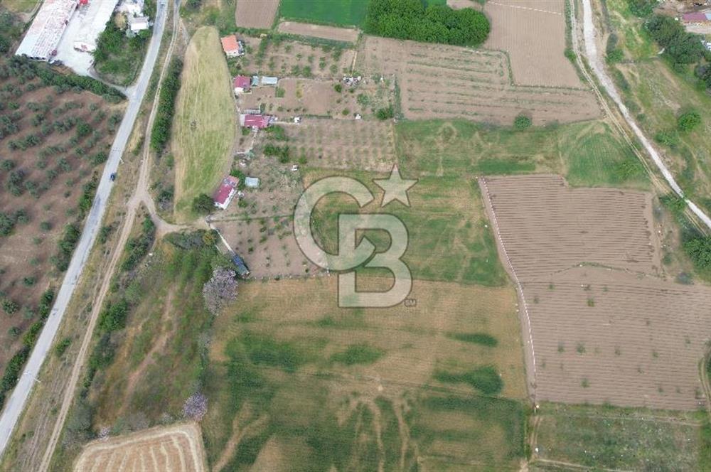 ÇANAKKALE DÜMREK KÖYÜ SATILIK TARLA-HOBİ BAHÇESİ, YATIRIMA UYGUN