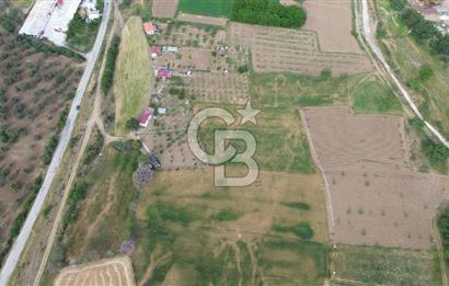 ÇANAKKALE DÜMREK KÖYÜ SATILIK TARLA-HOBİ BAHÇESİ, YATIRIMA UYGUN