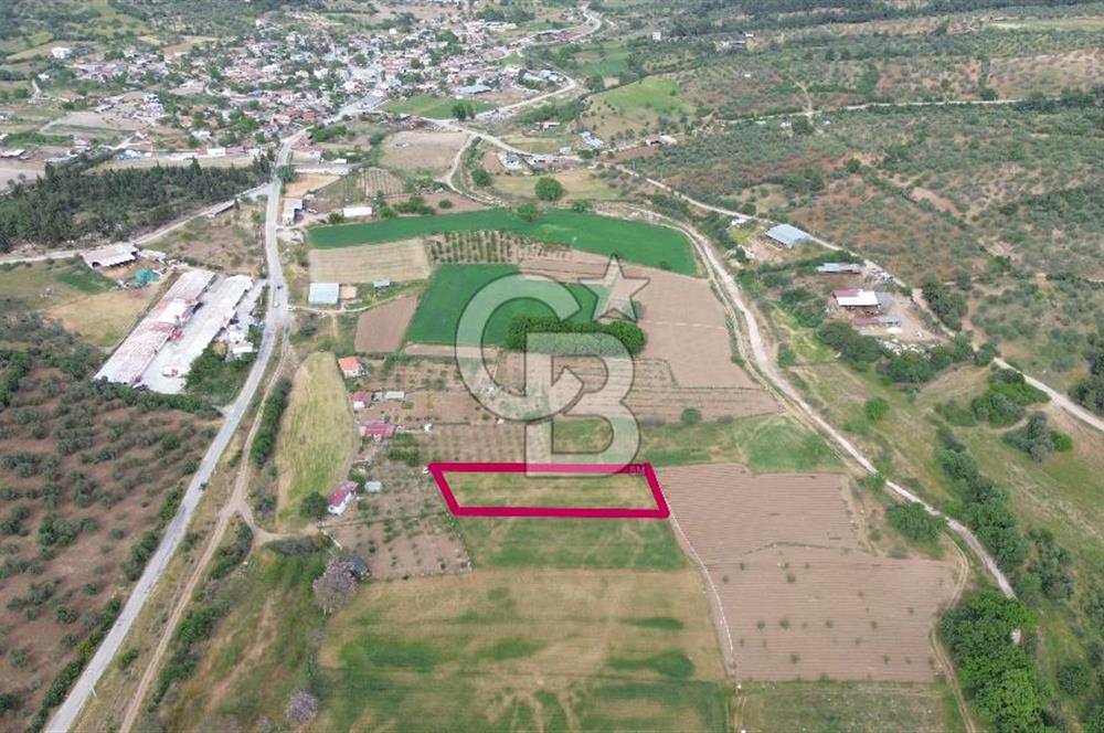 ÇANAKKALE DÜMREK KÖYÜ SATILIK TARLA-HOBİ BAHÇESİ, YATIRIMA UYGUN