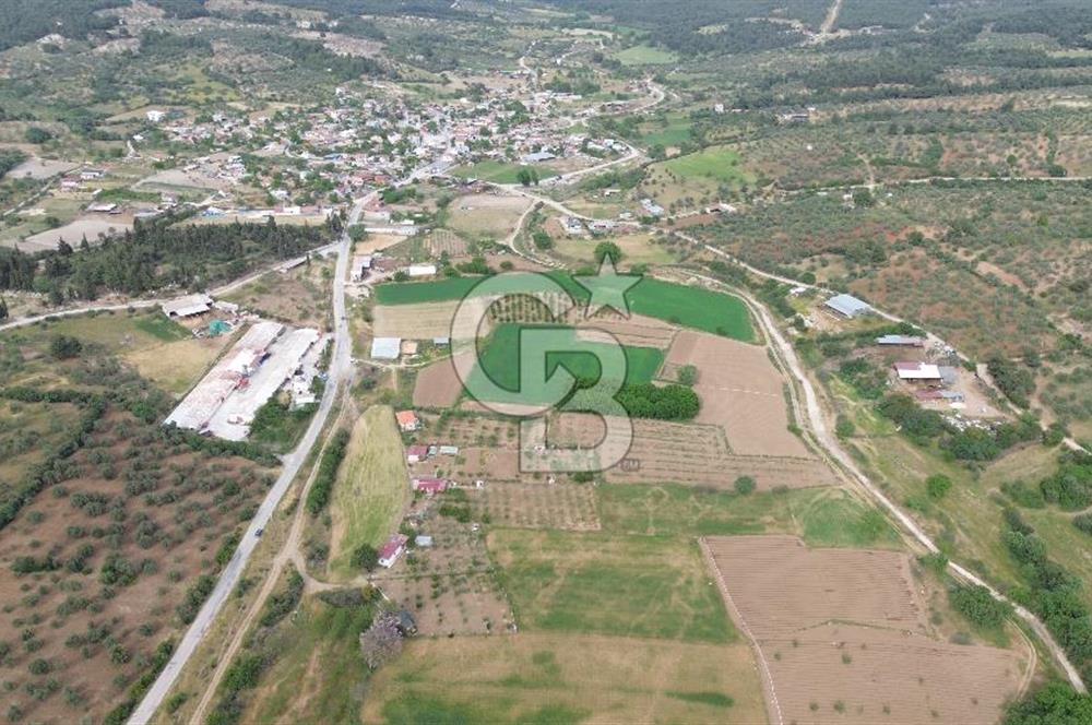 ÇANAKKALE DÜMREK KÖYÜ SATILIK TARLA-HOBİ BAHÇESİ, YATIRIMA UYGUN
