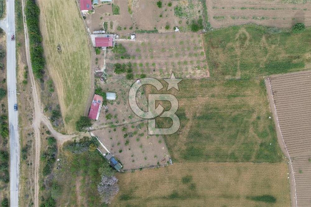 ÇANAKKALE DÜMREK KÖYÜ SATILIK TARLA-HOBİ BAHÇESİ, YATIRIMA UYGUN
