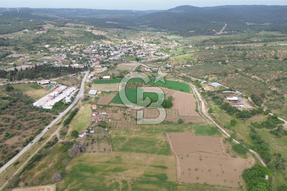 ÇANAKKALE DÜMREK KÖYÜ SATILIK TARLA-HOBİ BAHÇESİ, YATIRIMA UYGUN