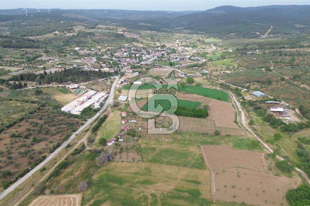 ÇANAKKALE DÜMREK KÖYÜ SATILIK TARLA-HOBİ BAHÇESİ, YATIRIMA UYGUN