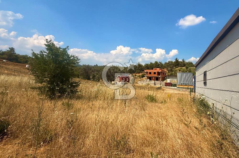BORNOVA YAKAKÖY 300 M2 YOLA CEPHE SATILIK TARLA