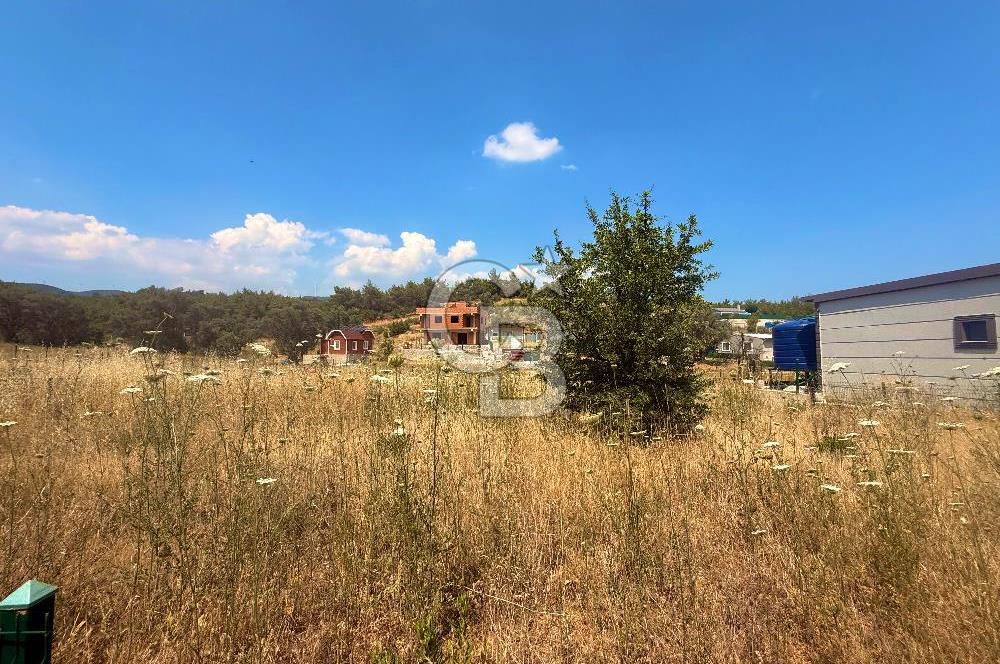 BORNOVA YAKAKÖY 300 M2 YOLA CEPHE SATILIK TARLA
