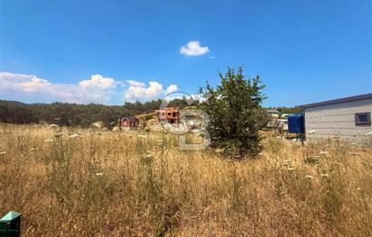 BORNOVA YAKAKÖY 300 M2 YOLA CEPHE SATILIK TARLA