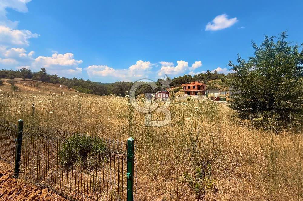BORNOVA YAKAKÖY 300 M2 YOLA CEPHE SATILIK TARLA