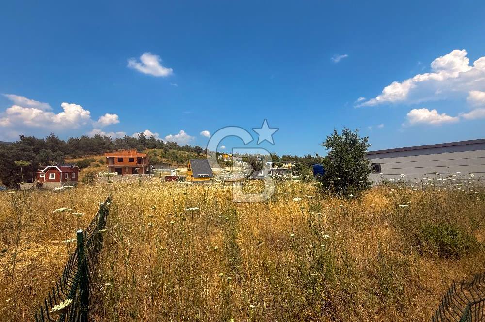BORNOVA YAKAKÖY 300 M2 YOLA CEPHE SATILIK TARLA