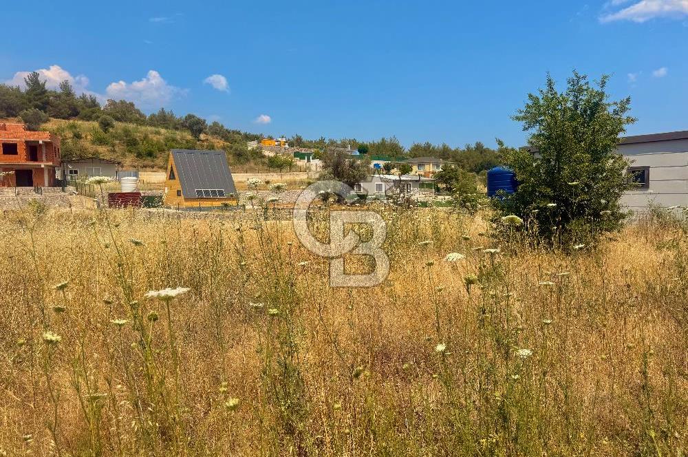 BORNOVA YAKAKÖY 300 M2 YOLA CEPHE SATILIK TARLA
