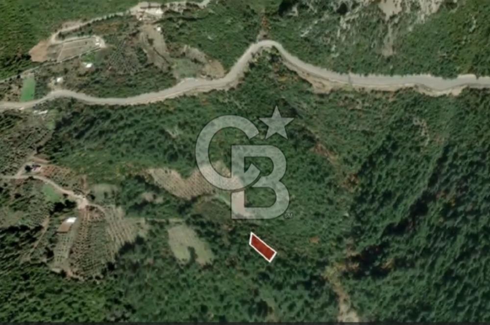 CB AMBIANCE'DAN DIŞKAYA'DA ŞEHİR MANZARALI HOBİ TARLASI!