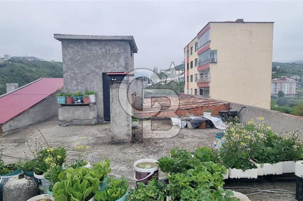 AKÇAABAT KAVAKLI MAHALLESİN DE SATILIK 2+1 DAİRE