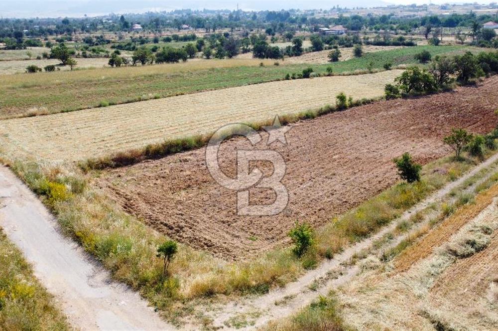 Korkueli Bozovada Resmi Yola Cephe 7.151 m² Satılık Bahçe Arazi