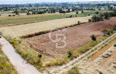 Korkueli Bozovada Resmi Yola Cephe 7.151 m² Satılık Bahçe Arazi